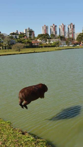 Morning Picdump