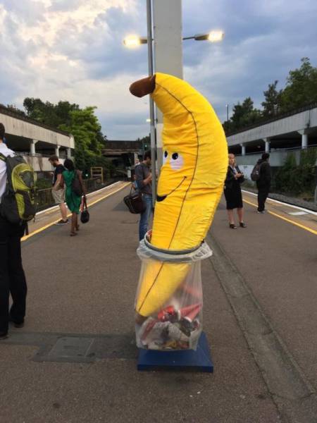 Morning Picdump