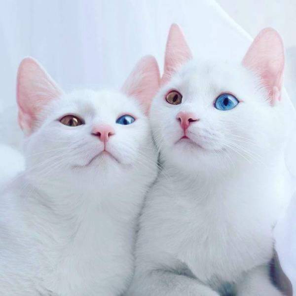 Morning Picdump