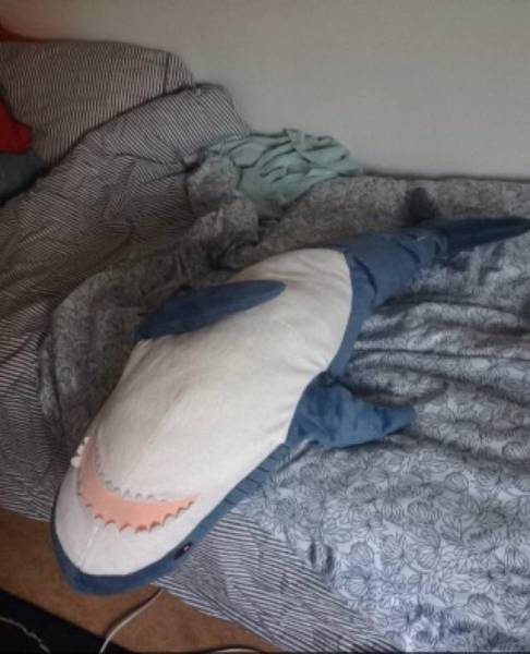 Morning Picdump