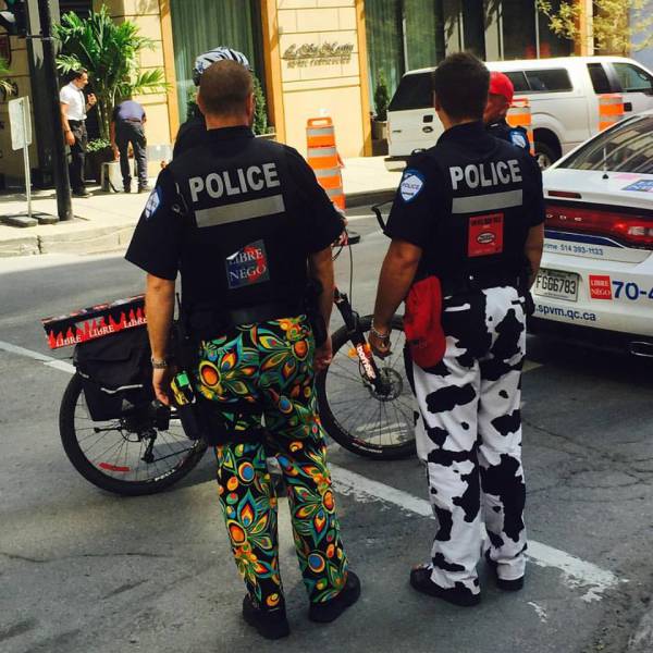 Daily Picdump [WEEKEND EDITION]