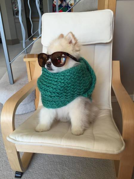 Content Image