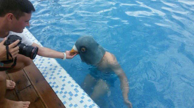 Content Image