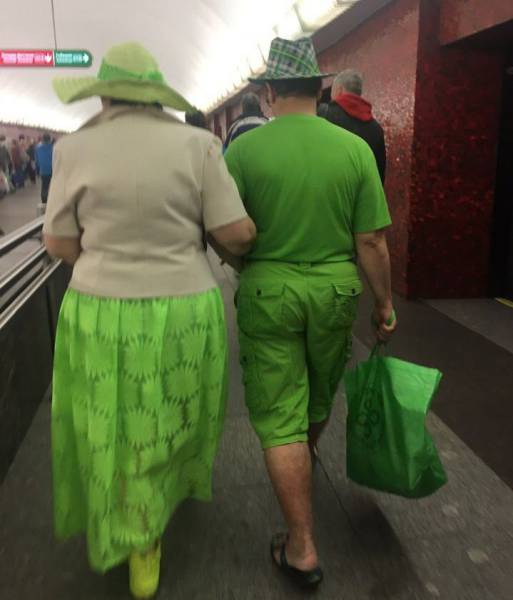 Daily Picdump