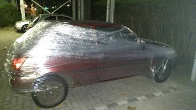 Daily Picdump