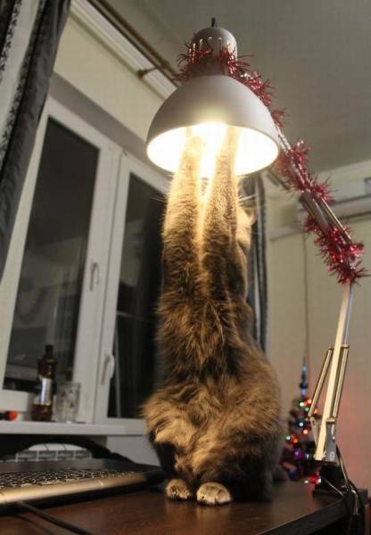 Daily Picdump