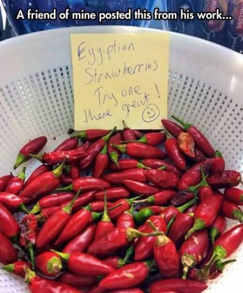 Daily Picdump