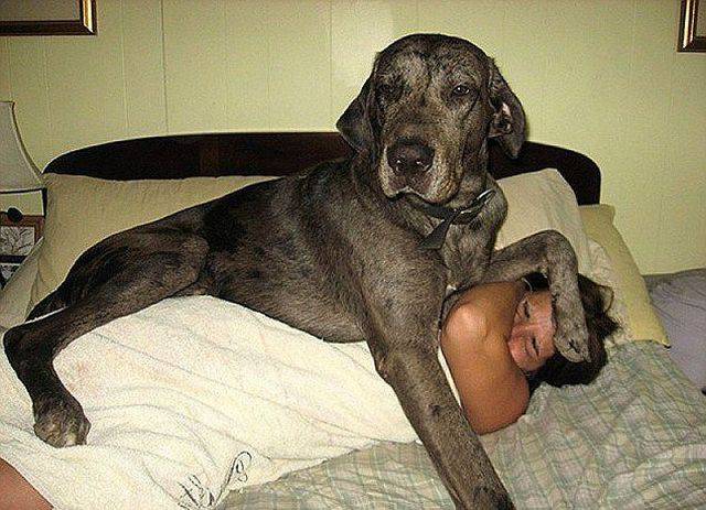 Content Image