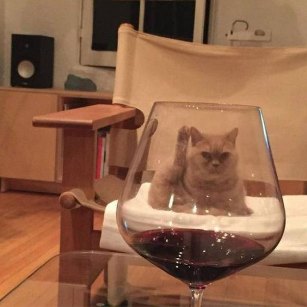 Content Image