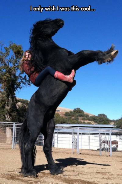 Morning Picdump