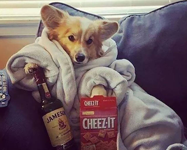 Morning Picdump