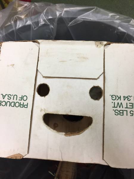 Content Image
