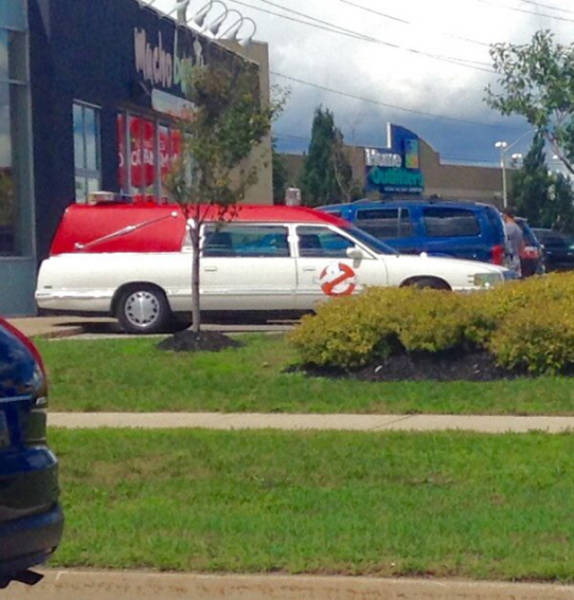 Morning Picdump