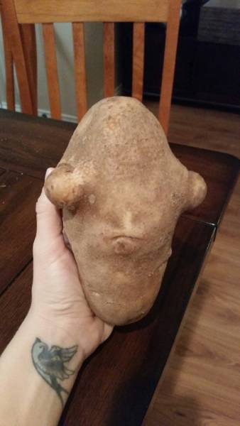 Morning Picdump