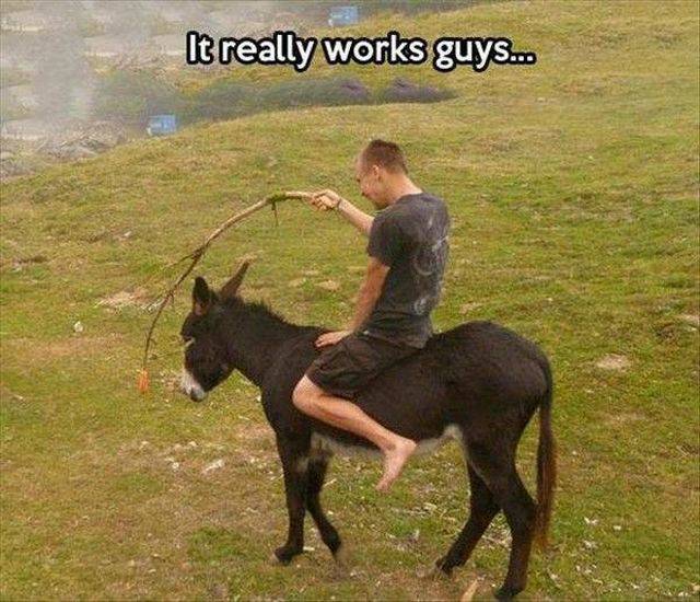 Daily Picdump