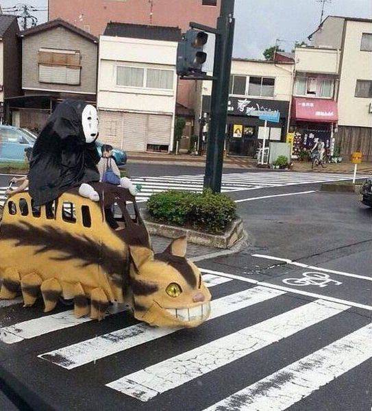 Daily Picdump