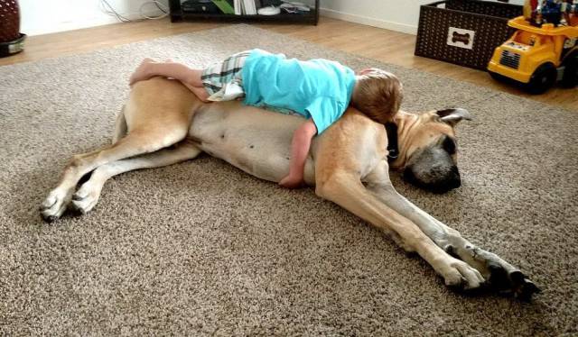 Daily Picdump