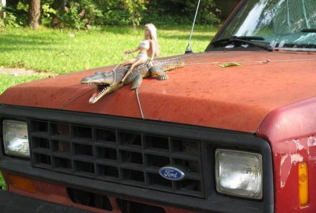 Daily Picdump