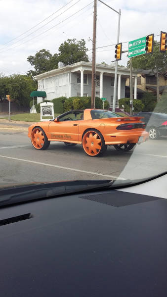 Content Image