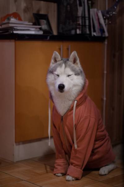 Content Image