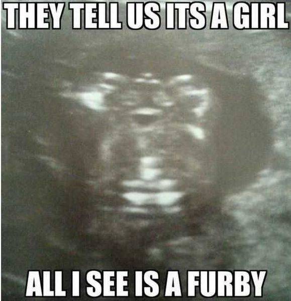 Daily Picdump