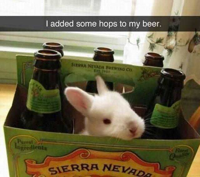 Daily Picdump