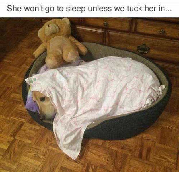 Daily Picdump