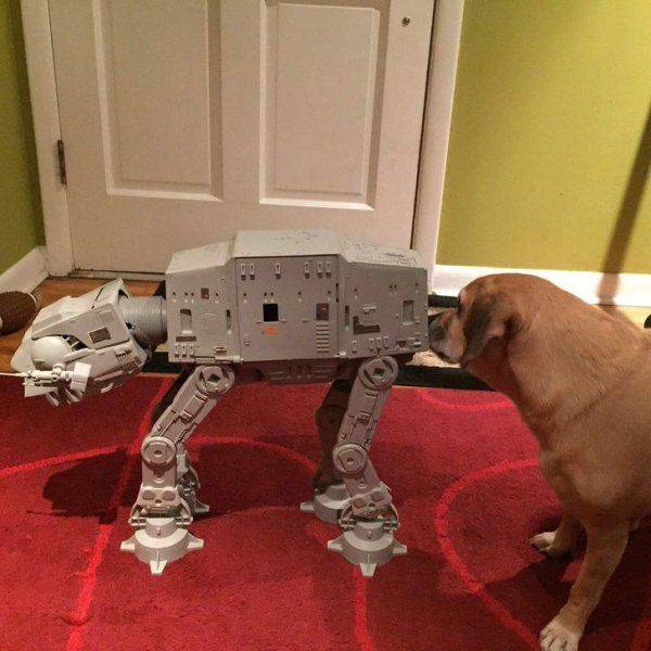 Content Image