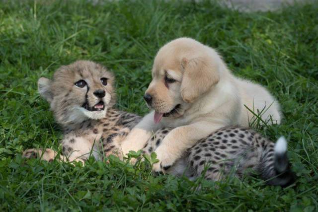 Daily Picdump