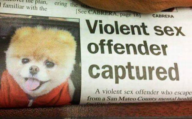 Content Image