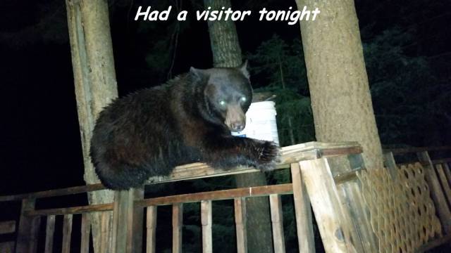 Content Image