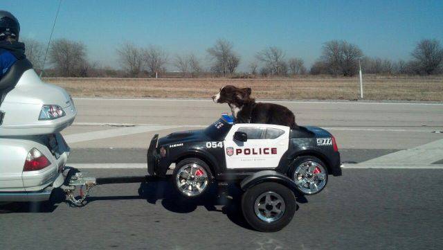 Morning Picdump