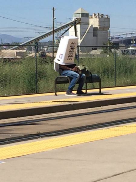 Morning Picdump