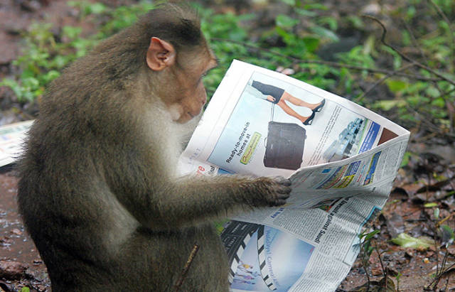 Daily Picdump