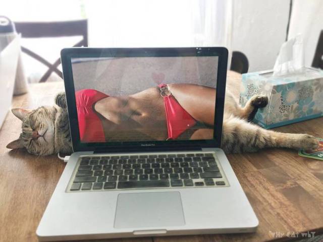 Daily Picdump