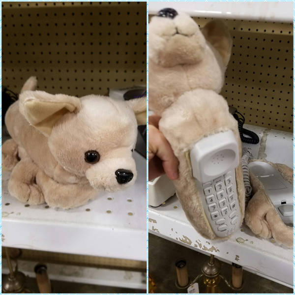 Content Image