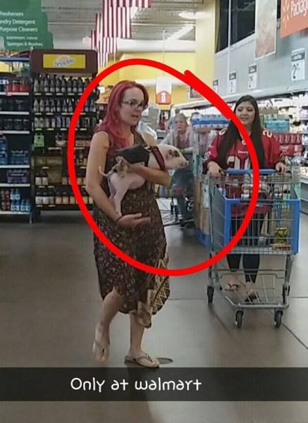 Content Image