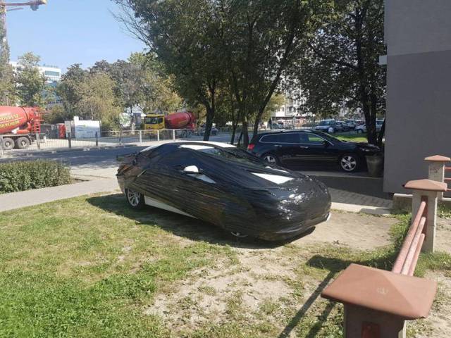 Content Image
