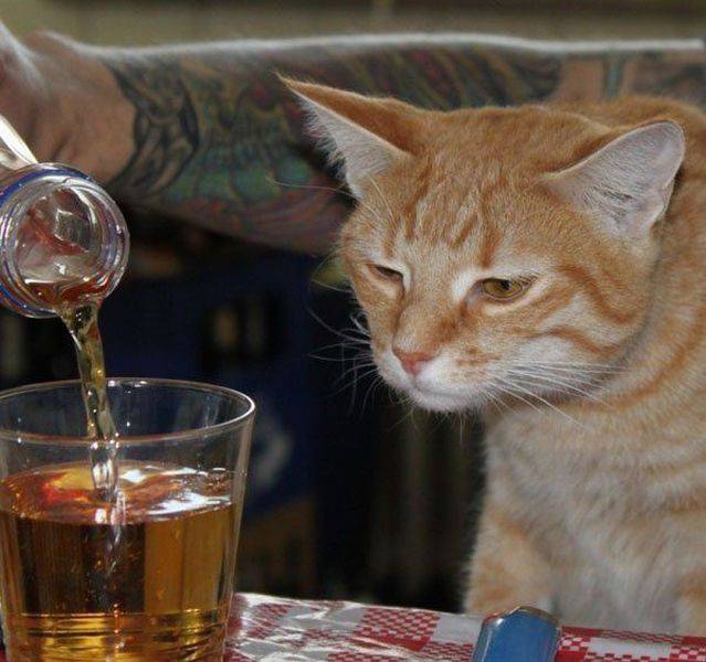 Daily Picdump [WEEKEND EDITION]