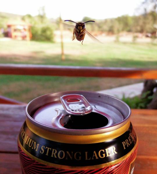 Daily Picdump [WEEKEND EDITION]
