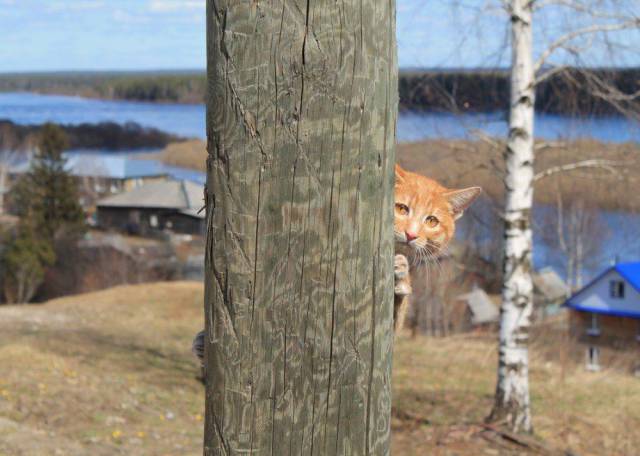 Daily Picdump [WEEKEND EDITION]