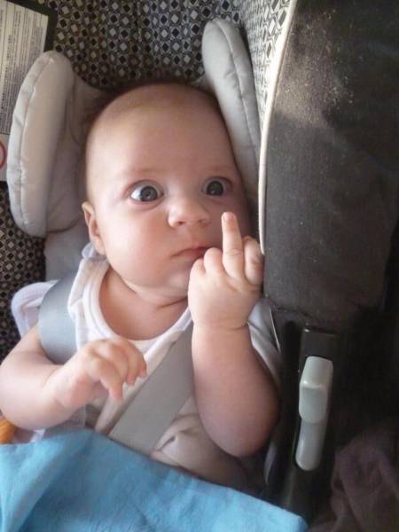 Daily Picdump [WEEKEND EDITION]