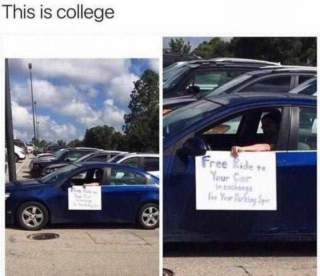 Content Image