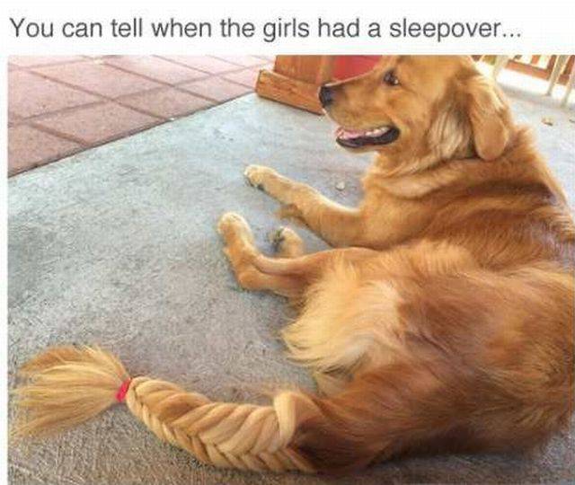 Content Image
