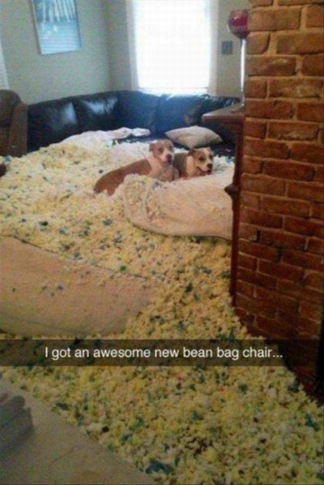 Content Image