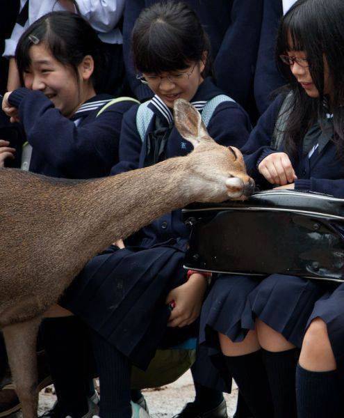 Content Image