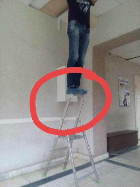 Morning Picdump