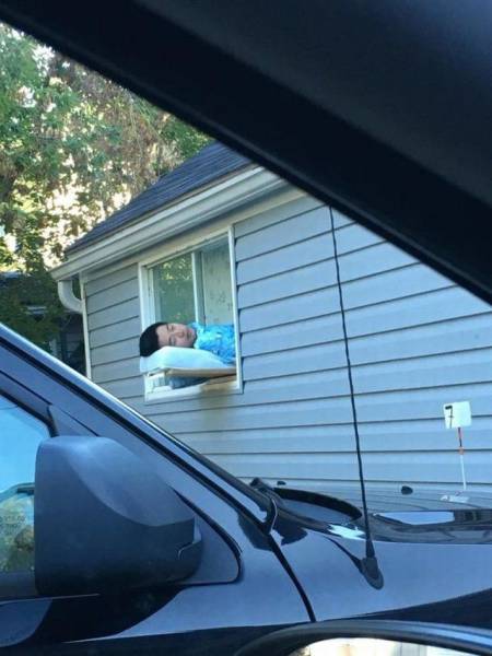 Daily Picdump