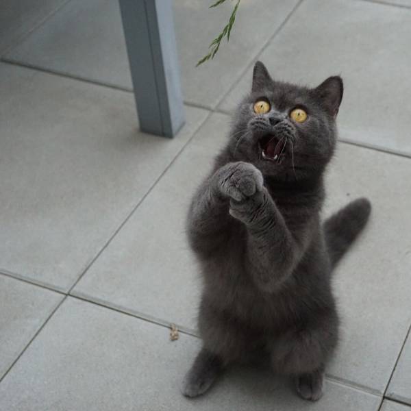 Daily Picdump