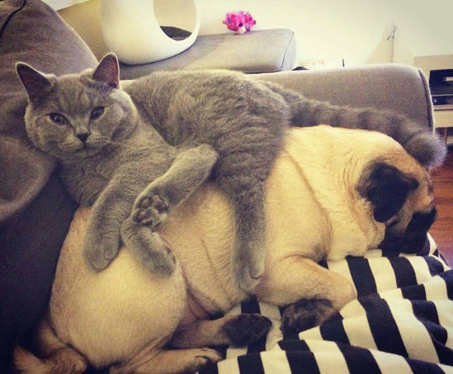 Morning Picdump